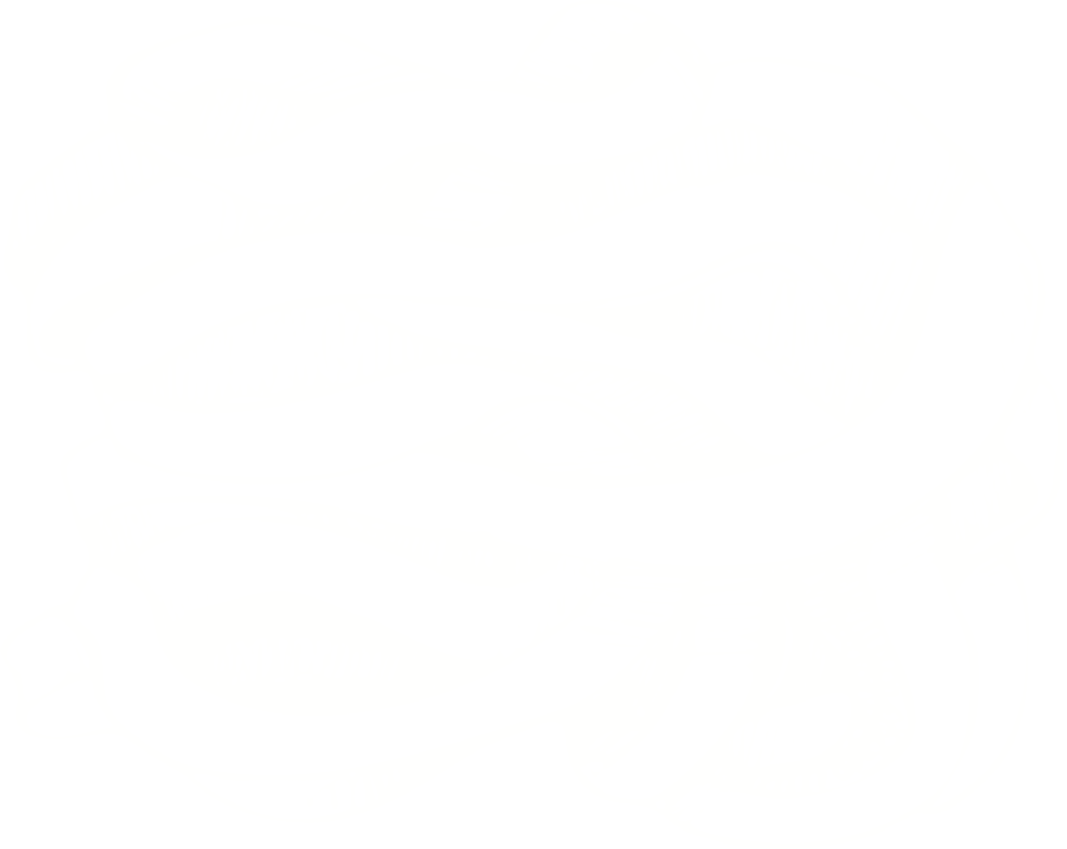 noodle background