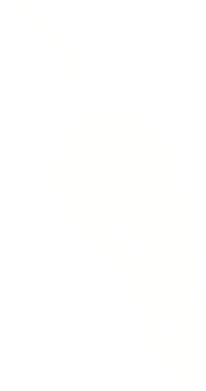 chilli background
